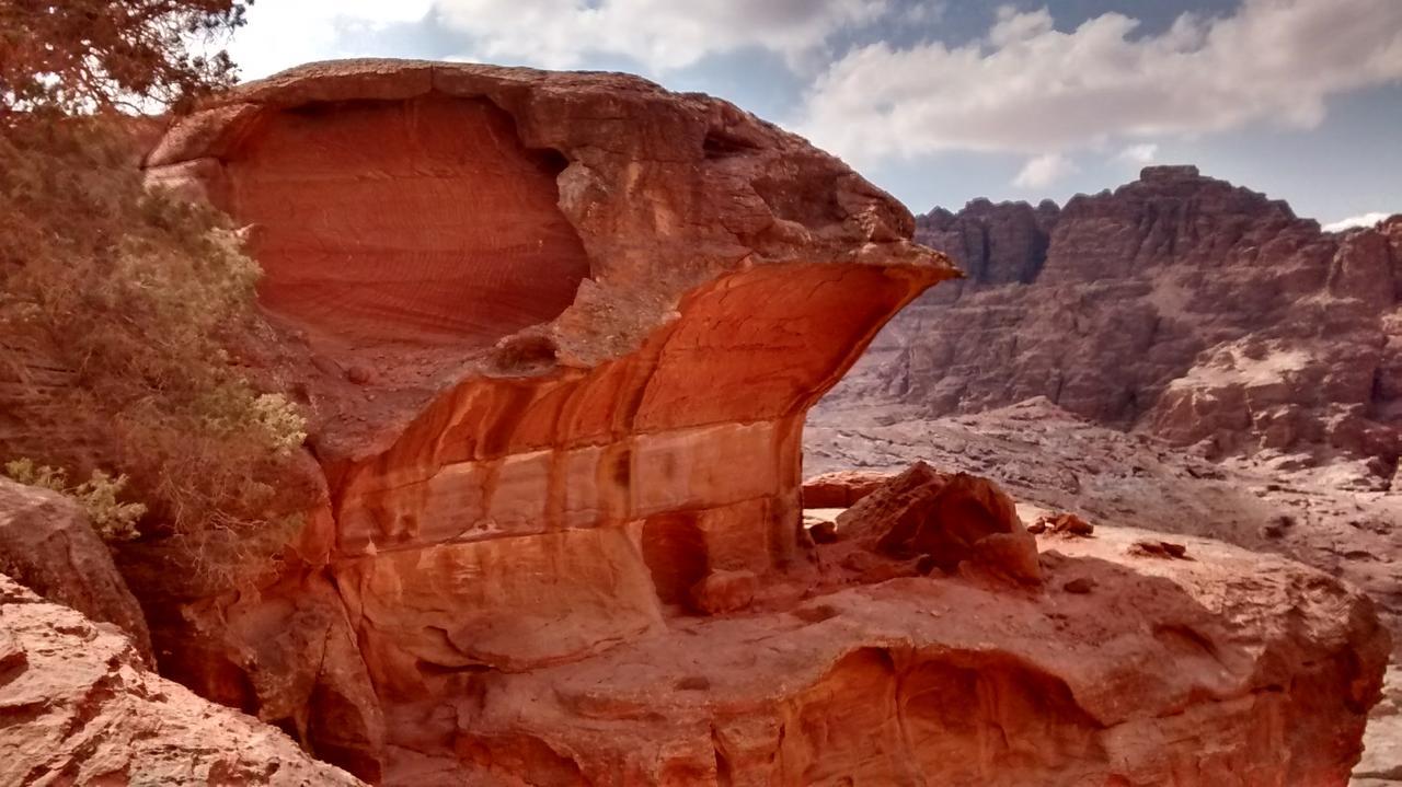 Petra Bedouin Bed And Breakfast 와디무사 외부 사진