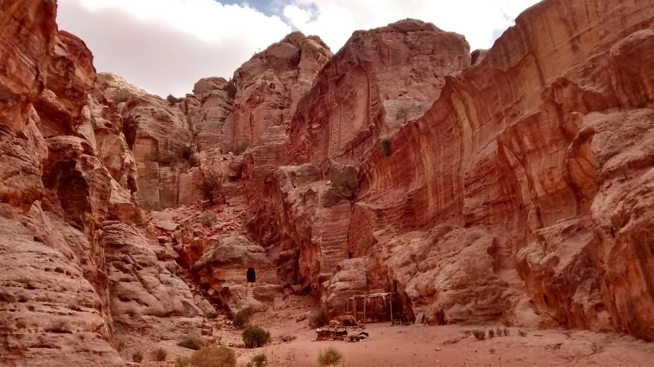 Petra Bedouin Bed And Breakfast 와디무사 외부 사진