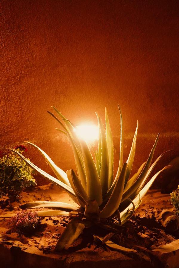 Petra Bedouin Bed And Breakfast 와디무사 외부 사진